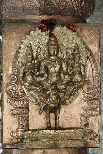 Götter-Figur mit Pfau als Reittier  Reliefs in Mahabaleshwara-Tempel  Chamundi Hill  Mysore  Maisur  Karnataka  Südindien  Indien  Südasien  Asien
