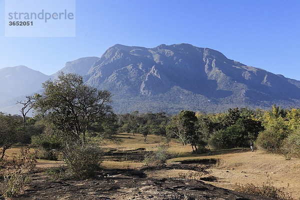 Landschaft zur Trockenzeit im Mudumalai Nationalpark  Nilgiri Hills  Tamil Nadu  Tamilnadu  Südindien  Indien  Südasien  Asien