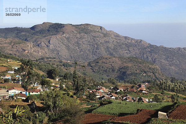 Dorf in Nilgiri Hills nahe Ooty  Nilgiris  Tamil Nadu  Tamilnadu  Südindien  Indien  Südasien  Asien