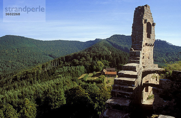 Burg Fleckenstein  Elsass  Alsace  Frankreich  Europa