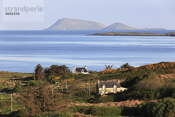 Küstenlandschaft nahe Eyeries  Beara-Halbinsel  County Cork  Irland  Britische Inseln  Europa