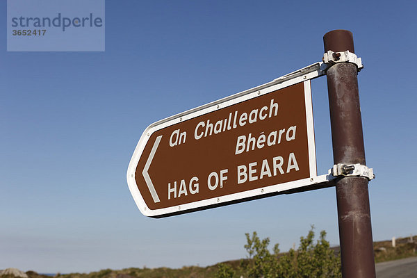 Wegweiser  Cailleach Bheara  Hag of Beara  Eyeries  Beara-Halbinsel  County Cork  Irland  Britische Inseln  Europ