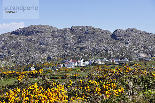 Allihies  Slieve Miskish Mountains  Beara-Halbinsel  County Cork  Irland  Britische Inseln  Europa