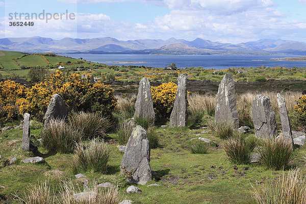 Ardgroom Steinkreis  Beara-Halbinsel  County Cork  Irland  Britische Inseln  Europa