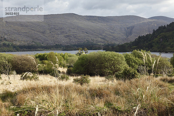 Glanmore Lake  Beara-Halbinsel  County Kerry  Irland  Britische Inseln  Europa