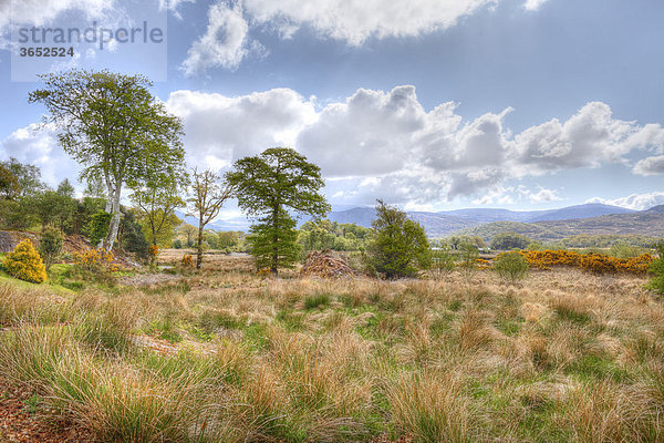 Killarney Nationalpark  Moor am Upper Lake  County Kerry  Irland  Britische Inseln  Europa
