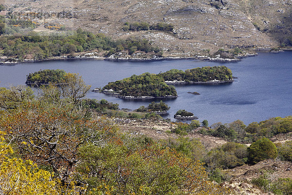Ladies View  Upper Lake  Killarney Nationalpark  County Kerry  Irland  Britische Inseln  Europa