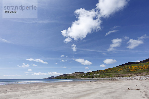 Inch Strand  Dingle Bay  Dingle Halbinsel  County Kerry  Irland  Britische Inseln  Europa