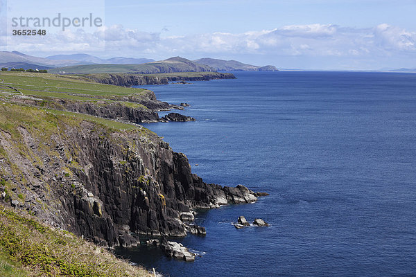 Steilküste am Slea Head  Dingle Halbinsel  County Kerry  Irland  Britische Inseln  Europa