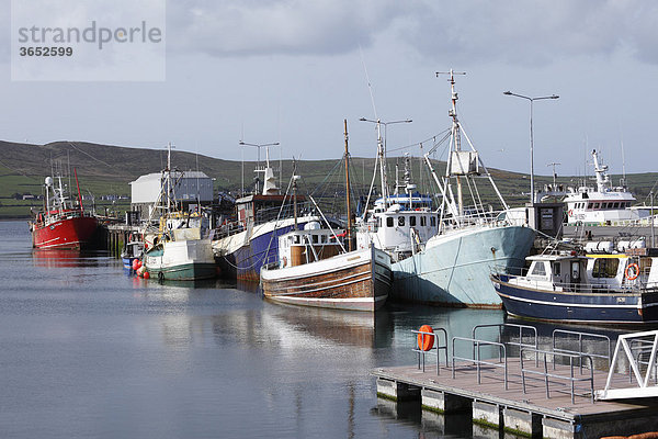 Fischerhafen  Dingle  County Kerry  Irland  Britische Inseln  Europa