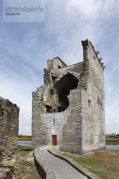 Carrigafoyle Castle am Shannon-Ufer  Ballylongford  County Kerry  Irland  Britische Inseln  Europa