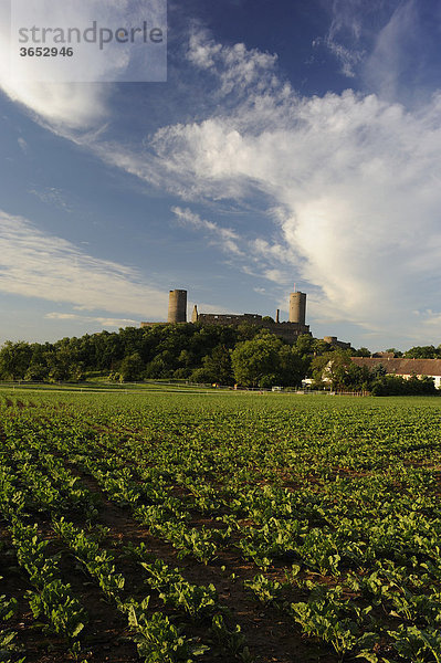 Blick auf Burg Münzenberg  Münzenberg  Wetterau  Hessen  Deutschland  Europa