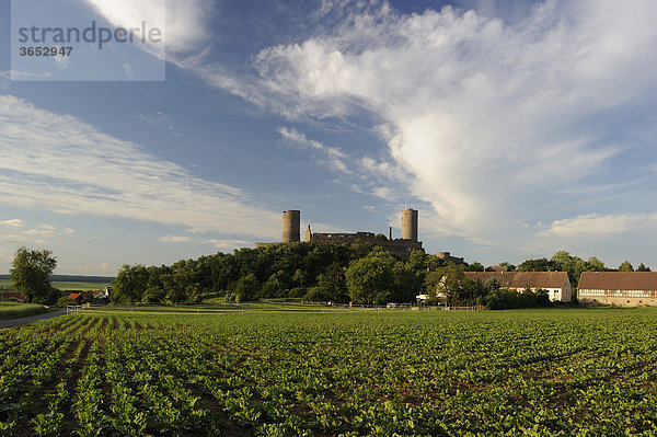 Blick auf Burg Münzenberg  Münzenberg  Wetterau  Hessen  Deutschland  Europa