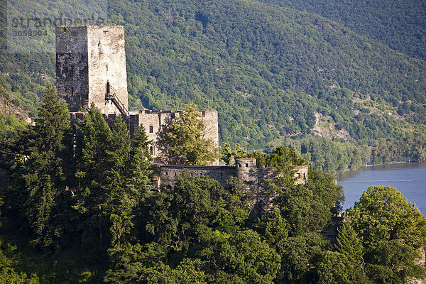 Burg Gutenfels in Kaub am Rhein  Rheinland-Pfalz  Deutschland  Europa