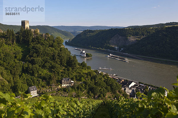 Burg Gutenfels mit Weinbergen über der Burg Pfalzgrafenstein in Kaub am Rhein  Rheinland-Pfalz  Deutschland  Europa