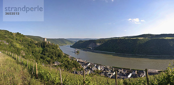 Burg Gutenfels mit Weinbergen über der Burg Pfalzgrafenstein in Kaub am Rhein  Rheinland-Pfalz  Deutschland  Europa