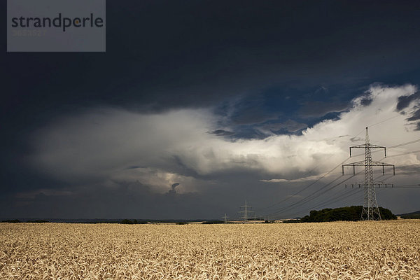 Heftige Gewitterwolken ziehen über einem Roggenfeld mit Strommasten auf  Bayern  Deutschland  Europa