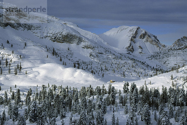 Die Großfanes-Alm mit der Großfanes-Hütte  Südtirol  Dolomiten  Italien  Europa