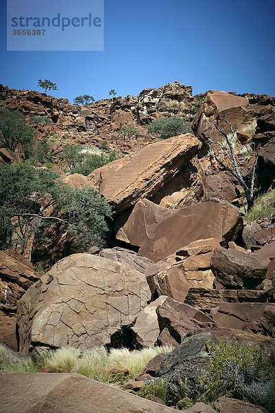 Felsgravuren  Petroglyphen  Felsmalereien  Twyfelfontein  Damaraland  Namibia  Afrika