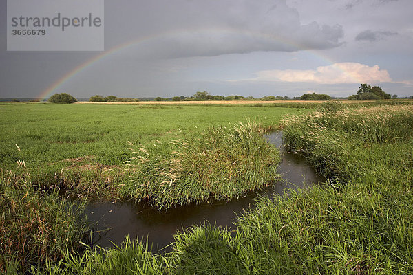 Kleiner Bachlauf mit Regenbogen  Naturschutzgebiet Wümmewiesen  Bremen  Deutschland  Europa