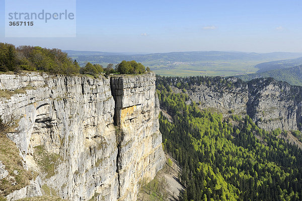 Felsenkessel des Creux du Van ältestes Naturschutzgebiet der Schweiz  Jura  Neuenburg  Schweiz  Europa