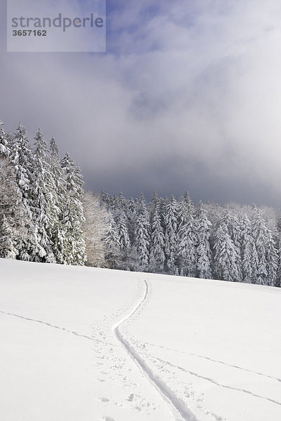 Skispur in verschneiter mit Nebel verhangener Winterlandschaft  Bayerische Voralpen  Leitzachtal  Bayern  Deutschland  Europa