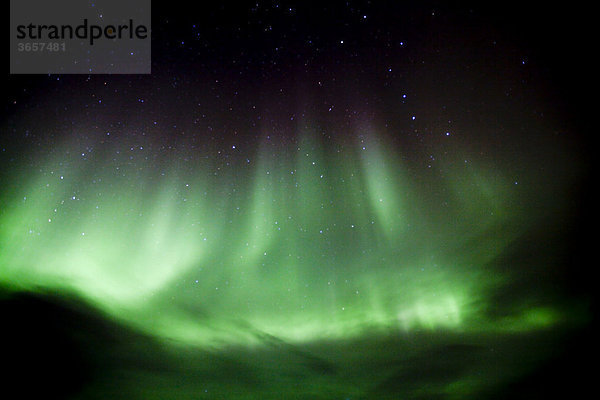 Polarlichter  Nordlichter  Aurora borealis  grün  violett  bei Whiterhorse  Yukon Territorium  Kanada