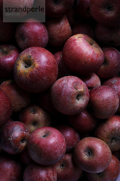 Bio-Äpfel  Sorte Annurca