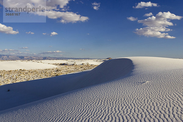 Dünen  Licht und Schatten  White Sands National Monument  Neumexiko  USA  Nordamerika