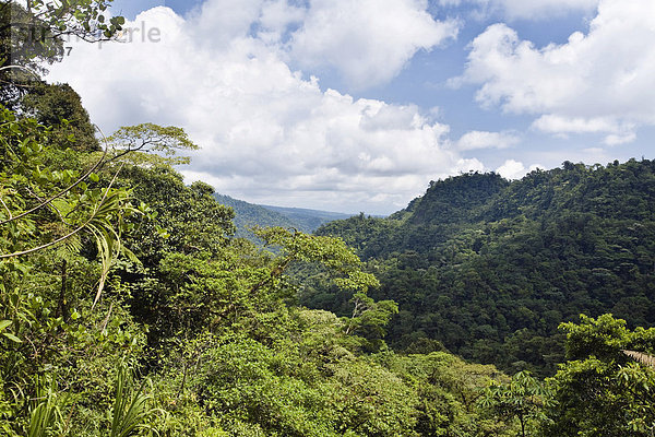Bergregenwald  Braulio-Carrillo Nationalpark  Costa Rica  Mittelamerika