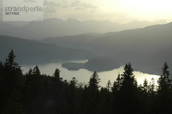 Gebirgslandschaft Nadelwald vor See und Gebirgszug im Gegenlicht Jochberg am Walchensee Oberbayern