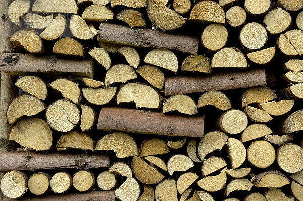 Aufgeschichtetes Brennholz bei Viechtach Bayerischer Wald Niederbayern