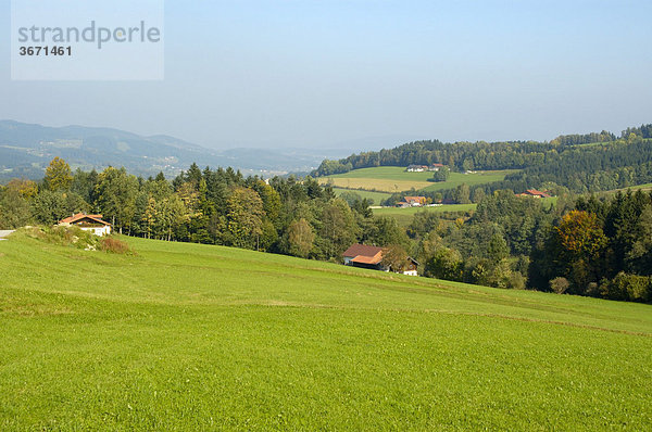 Grüne Wiesen und Wälder Wühnried bei Gotteszell Bayerischer Wald Niederbayern