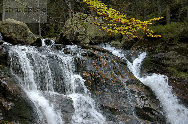 Wasserfall im Herbst Rieslochfälle Bayerischer Wald Niederbayern