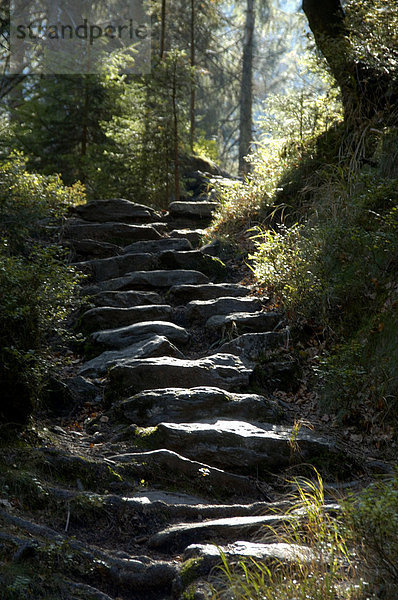 Wanderweg mit Stufen im Wald Rieslochfälle Bayerischer Wald Niederbayern