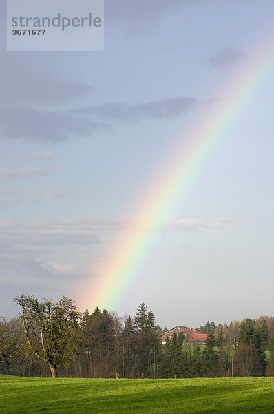 Regenbogen im Frühling im bayerischen Voralpenland