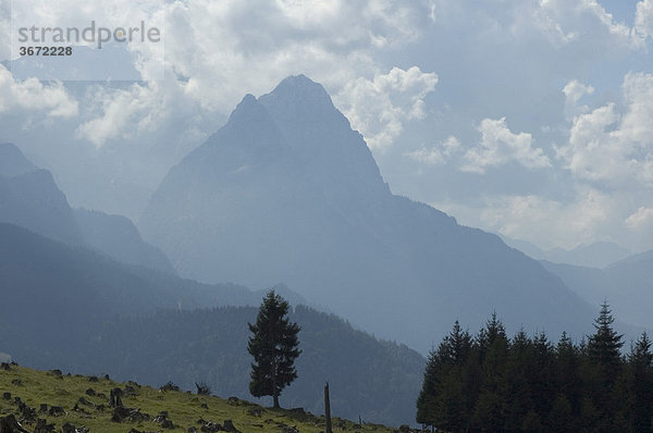 Abgeholzter Wald bei Garmisch Partenkirchen Werdenfelser Land Oberbayern Deutschland