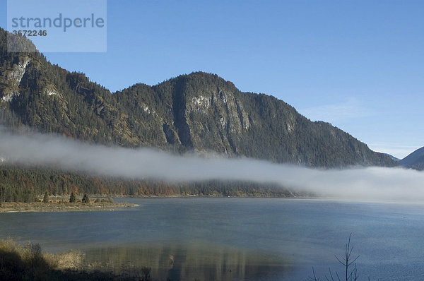 Am Sylvensteinspeicher See im Isarwinkel südlich von Bad Tölz Morgennebel am See mit Bergen