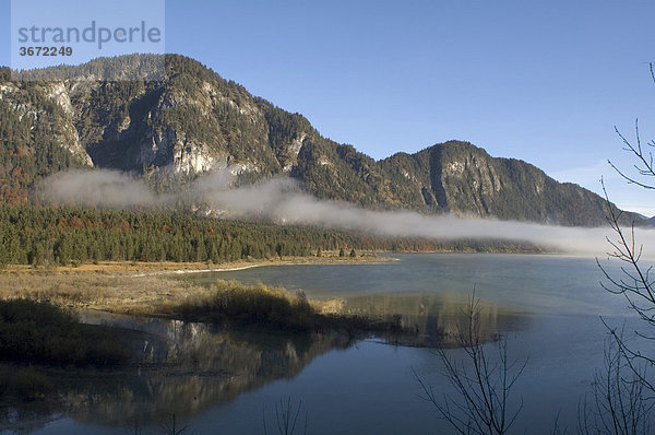 Am Sylvensteinspeicher See im Isarwinkel südlich von Bad Tölz Morgennebel am See mit Bergen