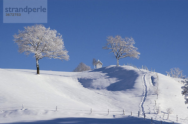 Winterlandschaft bei Aidling am Riegsee Oberbayern Deutschland