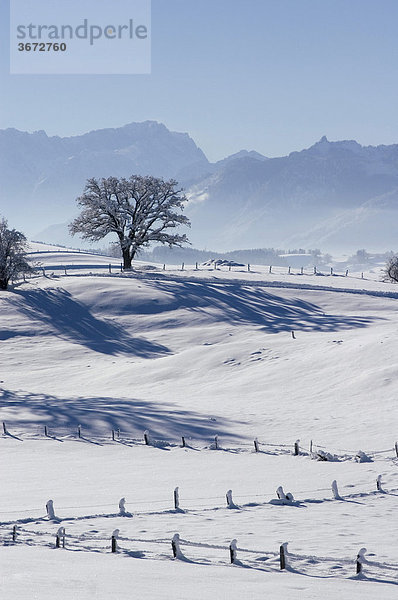 Winterlandschaft bei Aidling am Riegsee Oberbayern Deutschland