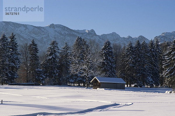 Winterlandschaft mit dem Bergrücken des Braunecks bei Wackersberg nähe Bad Tölz Oberbayern Deutschland