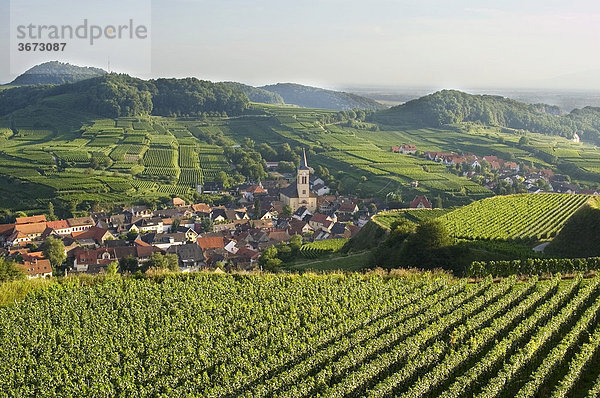 Oberrotweil am Kaiserstuhl Baden-Württemberg Detuschland