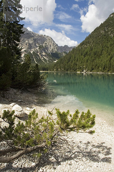 Am Pragser Wildsee Lago di Braies im Pustertal Südtirol Italien