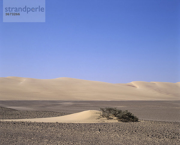 Namib Wüste - Skelettenküste - Namibia
