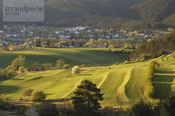 Blick auf Pernitz von der Ochsenheide aus Niederösterreich