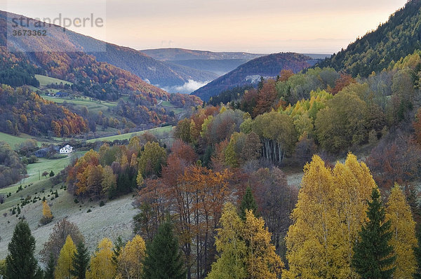 Herbstliches Dürnbachtal bei Sonnenaufgang Niederösterreich