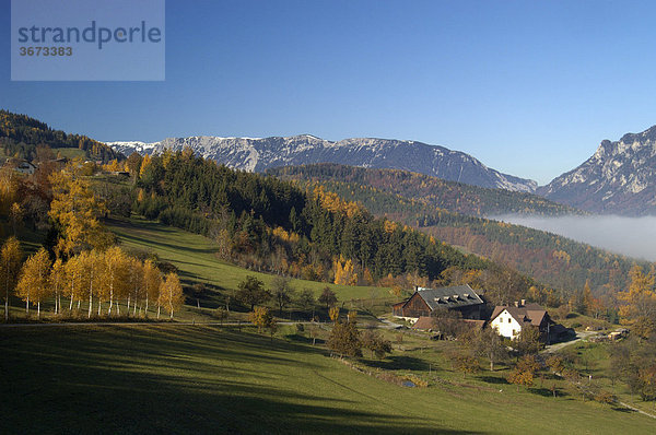 Herbstlich gefärbte Birken Bauernhaus und dahinter Rax Niederösterreich