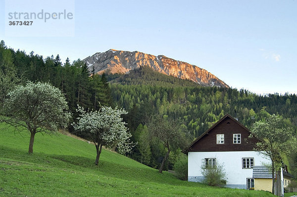 Bauernhaus mit blühenden Obstbäumen und Felsen im Abendlicht Niederösterreich