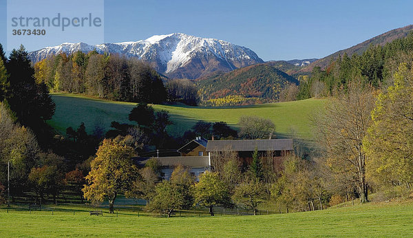 Herbstwald ein Bauernhaus und dahinter der Schneeberg der höchste Berg in Niederösterreich Österreich